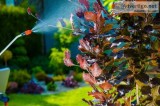 Lawn Care Services in Stuart