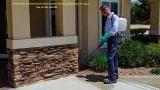 Rat rodent termite treatment Gurgaon Call us 91-9811381458