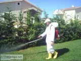 Affordable Pest Control Company In noida