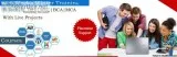 Best IT Winter Training Institute in Delhi  Aptech Malviya Nagar