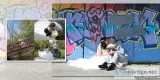 Design an Elegant Wedding Album with Album Design Store