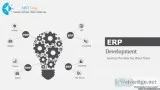 software development company in Indore