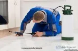 Choosing your Reliable Pest Control Service in Faridabad