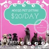 HousePet sitting
