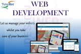 Web development Services in Delhi