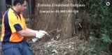 Rodent and Pest control Gurgaon call us 91-9811381458