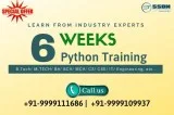 6 Weeks Python Course in Delhi