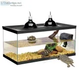 Turtle tank with accessories and turtles