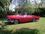 1957 T BIRD
