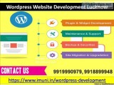 Wordpress Website Development Lucknow  Customize Your Website