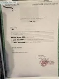USCIS CERTIFIED FRENCH BIRTH CERTIFICATE TRANSLATIONS (24hrs)