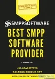 SMPP Gateway Software use for Big Businesses