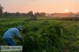 Be a FarmDost