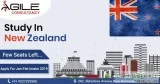 New Zealand Student Visa Consultant in Ahmedabad