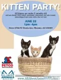 Kitten Party