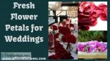 Get Flower Petals for Wedding at Affordable Price
