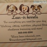 Everything you need for your dog