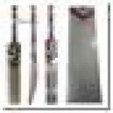 SG SR 210 English Willow Cricket Bat