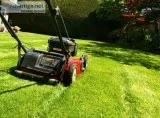 Lawn Mowing