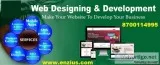 Website Design and Development Company in Noida