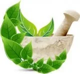 Prolapsed Uterus Treatment  Kalptaru Herbal Therapy Centre