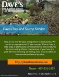 Dave s Tree Stump ServiceStump Grinding