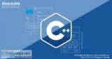 C Development Services