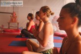 Yoga Training in India