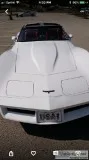 1981 corvette