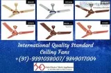 Economy Range Decorative and Designer Ceiling Fans