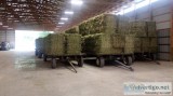 2019 Small Squares Hay for Sale