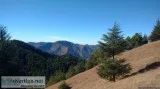 Top Upcoming Events in Shimla - TripHermit Expeditions
