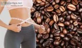 Lose weight + make money online