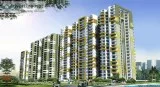 Ace Platinum 234 BHK starting at Rs 37.89 Lac Greater Noida  925