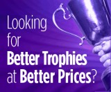 Fulfil Your Trophy Requirements from Tower Trophies