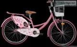 Purchase the Fittest Bicycle for Kids