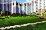 Nirala Green Shire 2 BHK Stunning Apartment in Gr Noida West  87