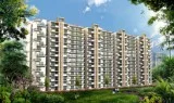 Ready to Move Flats in Gurgaon For Sale