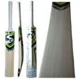 SG Savage Plus Kashmir Willow Cricket Bat