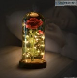 Popular Beauty and the Beast Rose Lamp for free