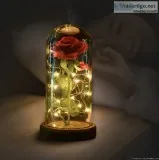 Popular Beauty and the Beast Rose Lamp for free