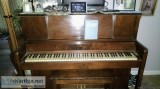 Piano - Littleton CO