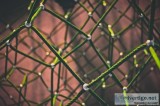 Blockchain Development