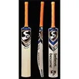 SG RSD Spark Kashmir Willow Cricket Bat Size SH