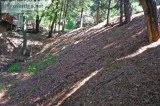 5550 Sq Ft downslope Lot
