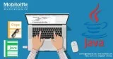 Java Applications Development Company