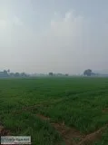 100 acres for warehousing in tauru haryana