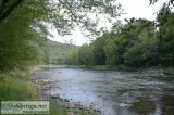RIVERFRONT 4 ACRES Lackawaxen River