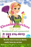 Ely Cleaning Services