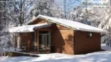 One room cabin for rent